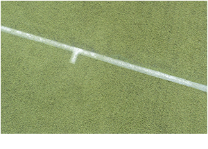 Tufted Cricket Installation