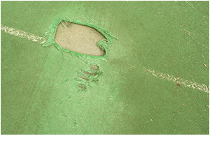 Woven Cricket Installation